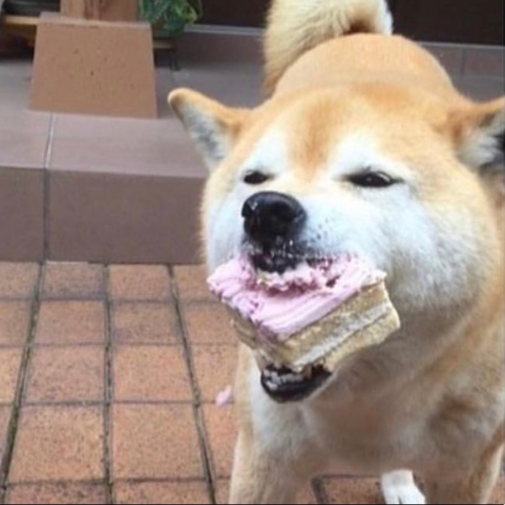 Meet your Posher, Gabrielle